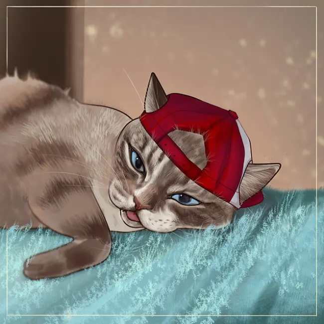 Открытка "кот в кепке"